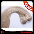HW42-20#22SST 20 inch silky straight human hair weft 